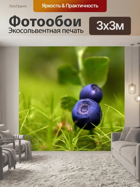 Фотообои Ягоды