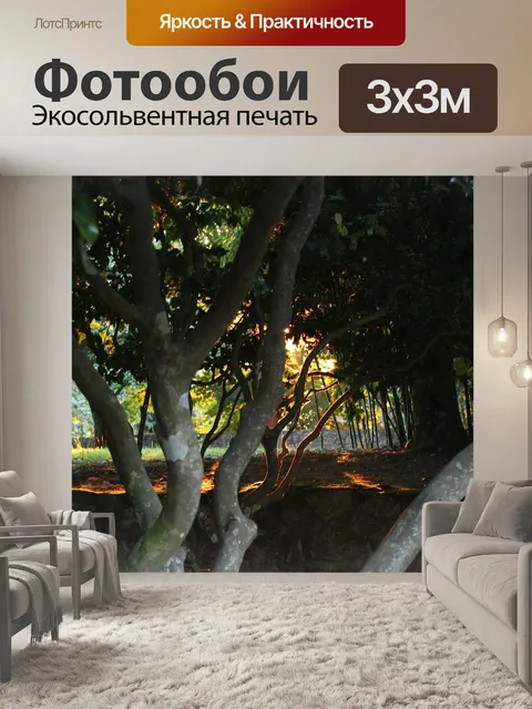 Фотообои Лес