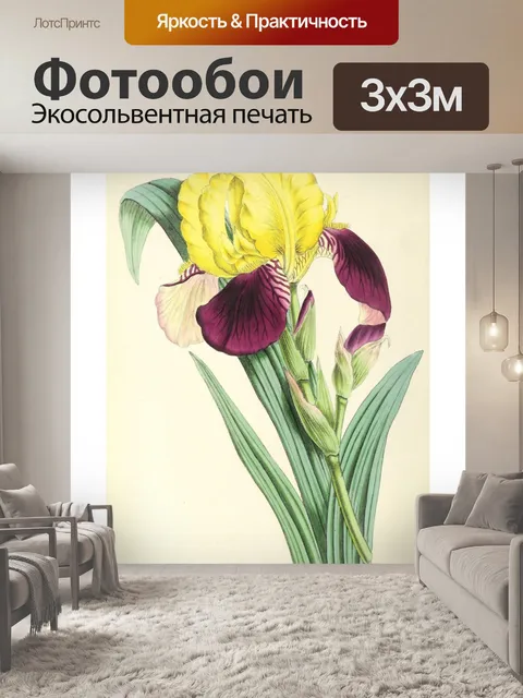 Фотообои Искусство иллюстрации садовых цветов