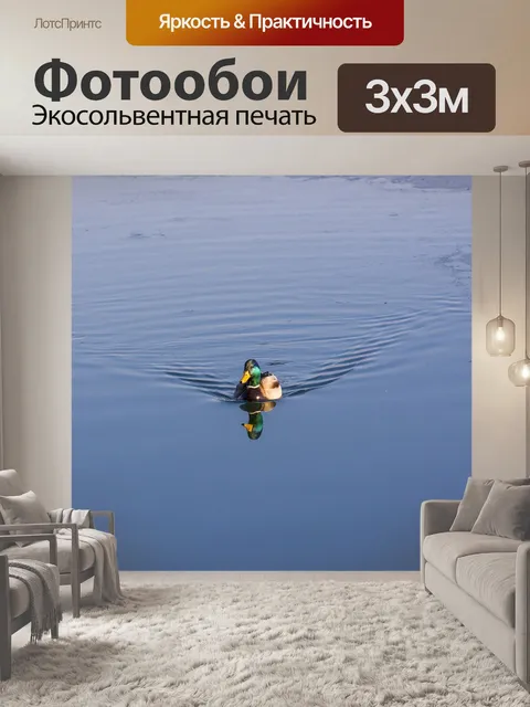 Фотообои Птицы