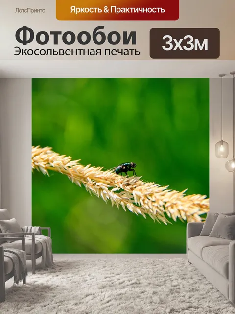 Фотообои Летать