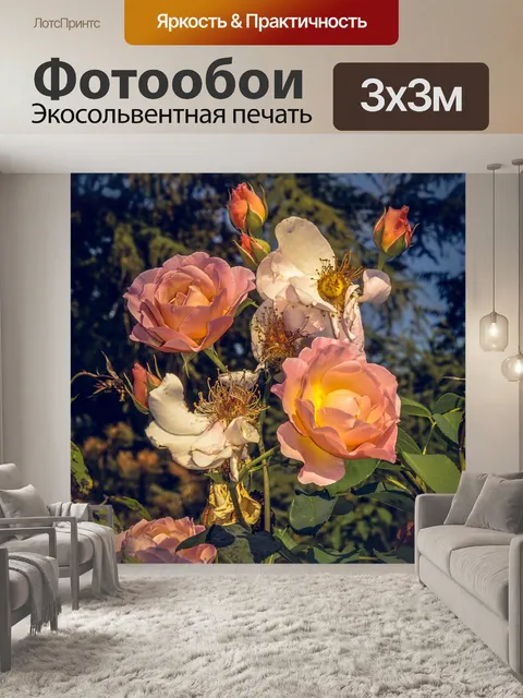 Фотообои Роза