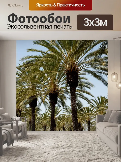 Фотообои Пальмы в ряду