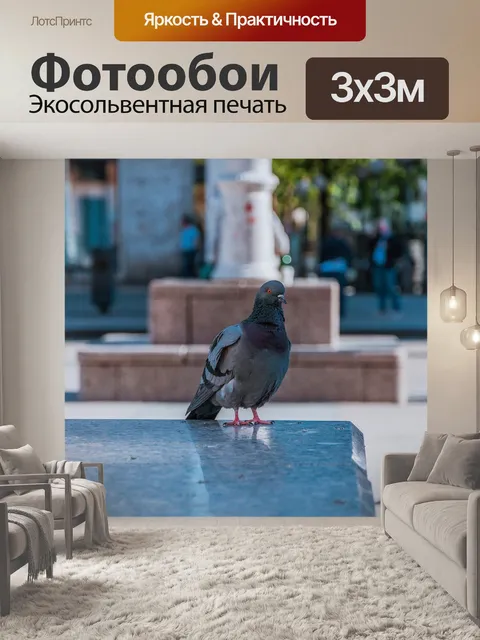 Фотообои Голубь