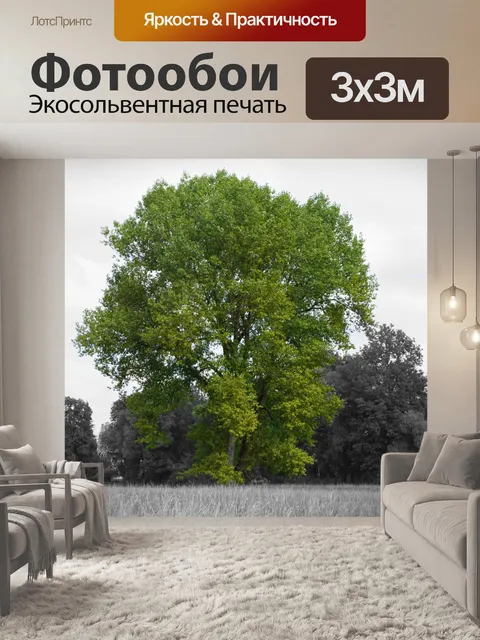 Фотообои Дерево