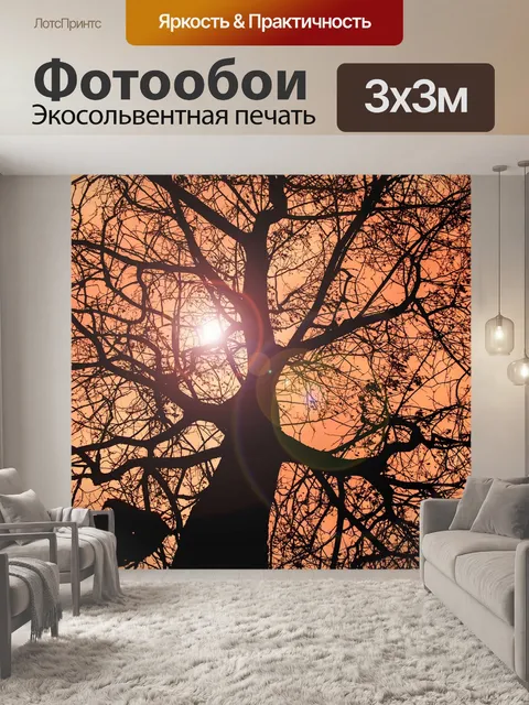 Фотообои Solrefleks