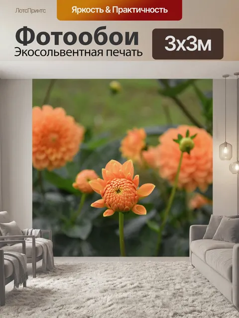 Фотообои Цветы