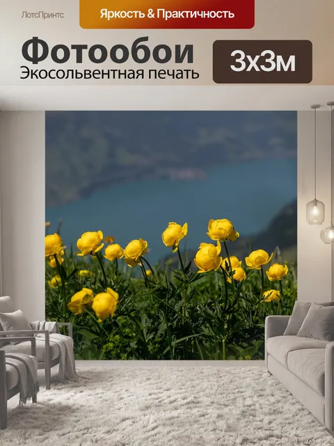 Фотообои Купальница