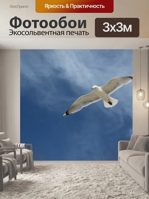 Фотообои Чайка