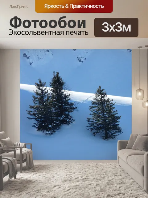 Фотообои Сосны