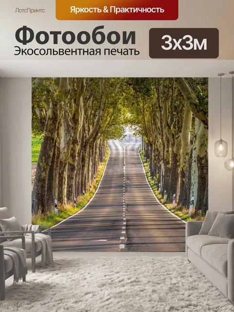 Фотообои Проспект