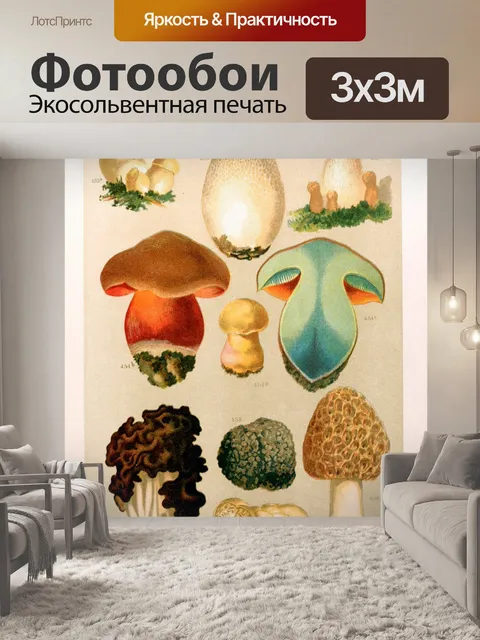 Фотообои Грибы ядовитые старинные искусства