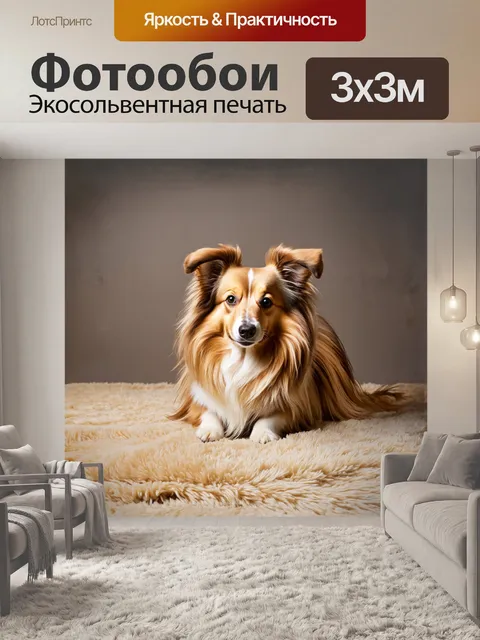 Фотообои шелти собака уютно устроилась на мягком ковре