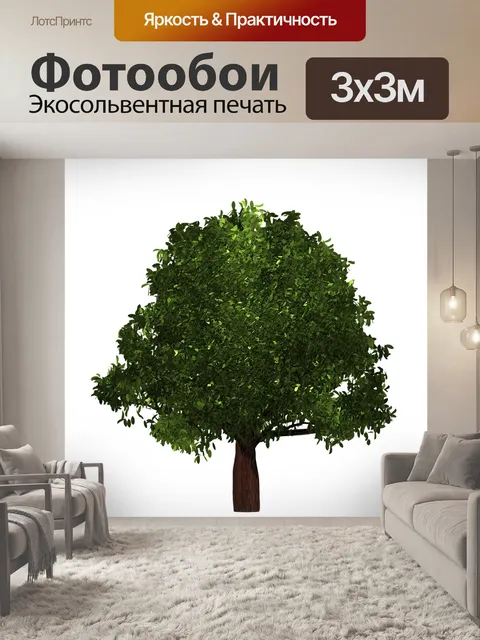 Фотообои Дерево
