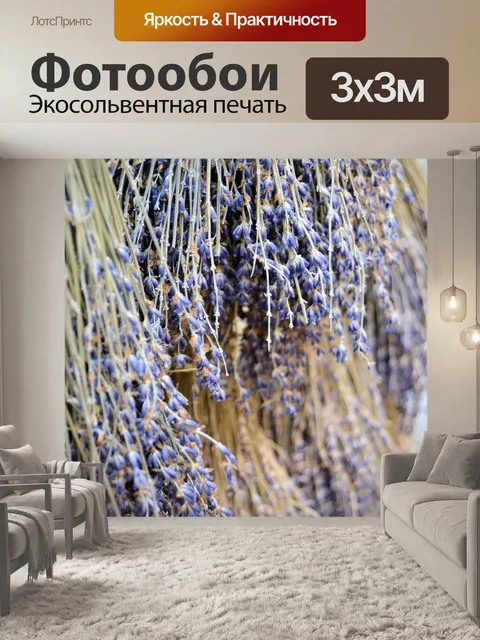 Фотообои Франция