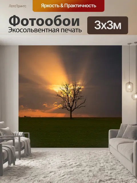 Фотообои Закат, фон, дерево