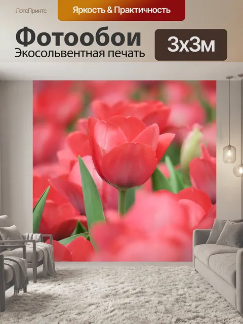 Фотообои Тюльпаны