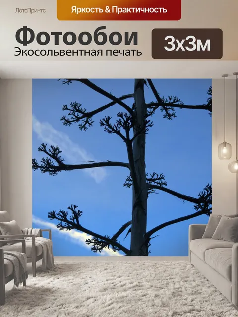 Фотообои Silhouetted plant