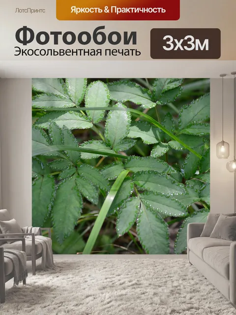 Фотообои Листья