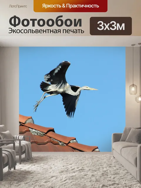 Фотообои Летающий