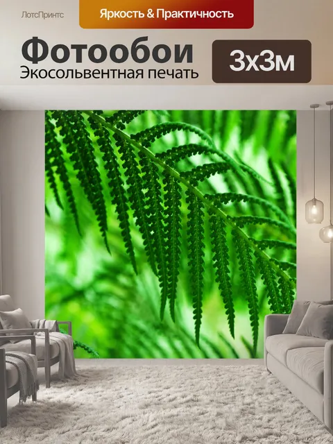 Фотообои зеленый папоротник