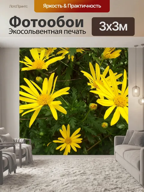 Фотообои Цветок