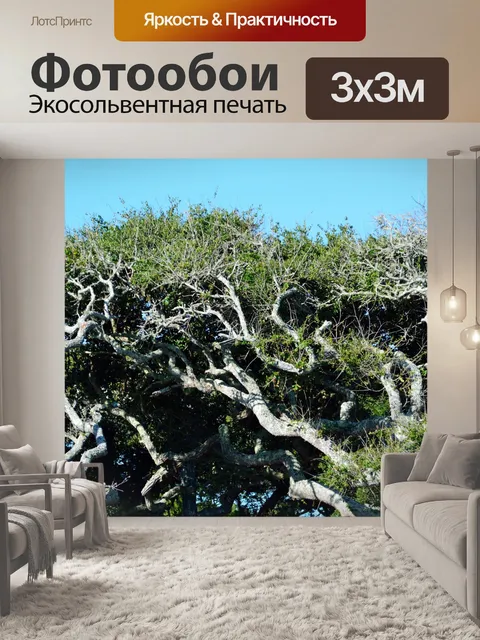 Фотообои Гамак деревья