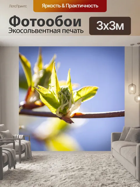 Фотообои Весна
