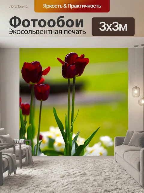 Фотообои Цветы