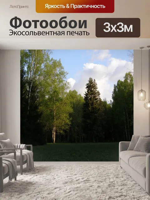 Фотообои Деревья