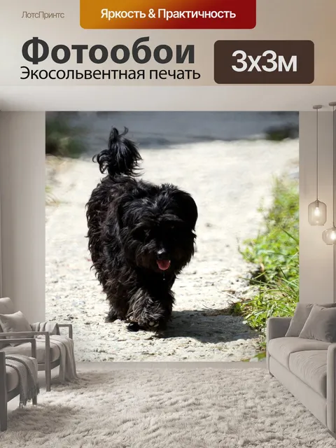 Фотообои Животное