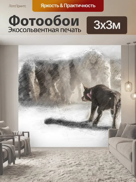 Фотообои Австралийский келпи