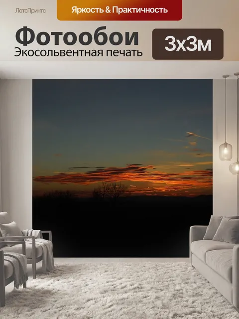 Фотообои Темный