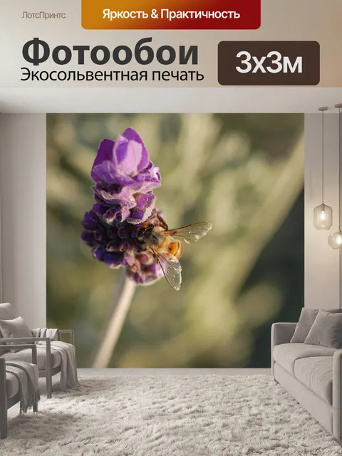 Фотообои Лаванда