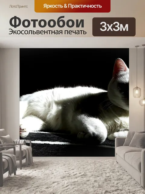 Фотообои Кошка