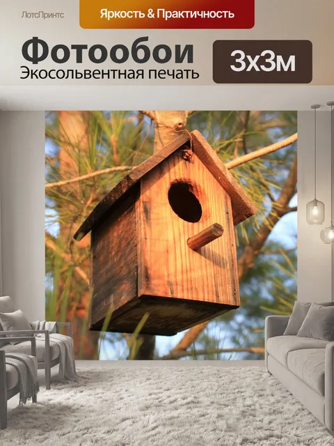 Фотообои Птицы