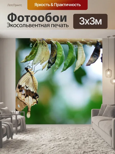 Фотообои Браун