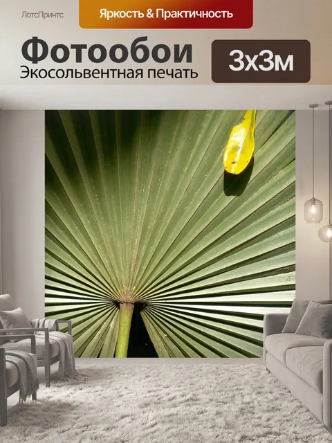 Фотообои Пальма