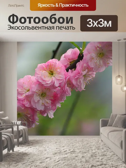 Фотообои Миндальный торт