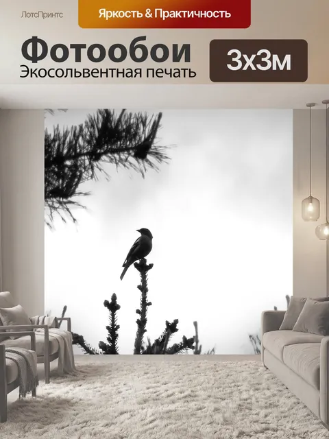 Фотообои Птица