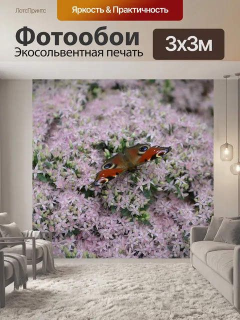 Фотообои Бабочка