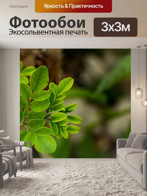 Фотообои Лист