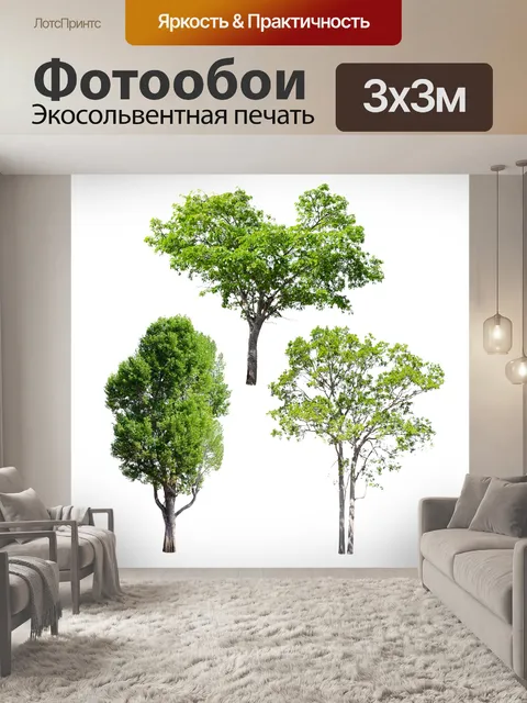 Фотообои Коллекция