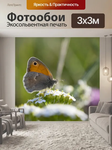 Фотообои Бабочка