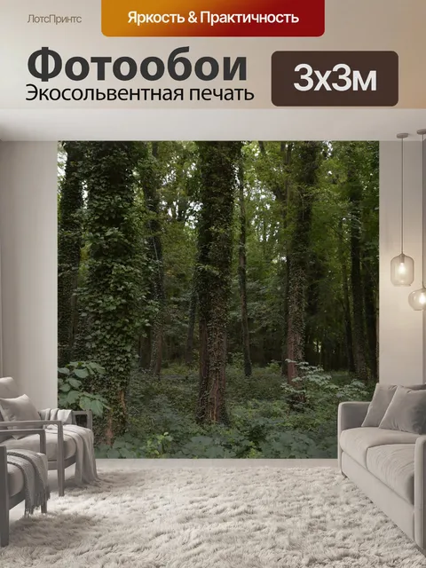 Фотообои Лес
