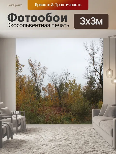 Фотообои Зима приближается