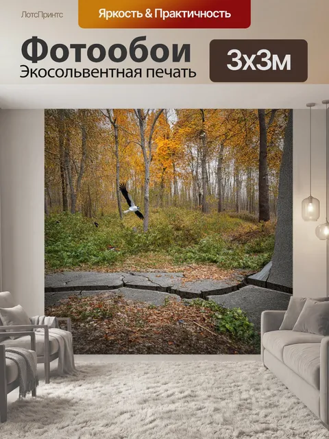 Фотообои война природы и техники в чернобыле: лес, прорастающий сквозь трещины в бетонных конструкциях