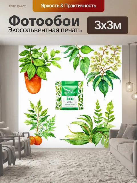 Фотообои природа как источник вдохновения для дизайна упаковки для экопродуктов
