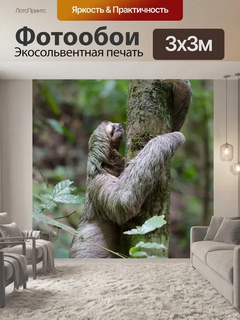 Фотообои Лень