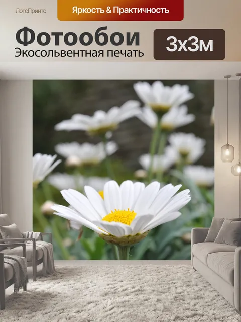 Фотообои Цветы